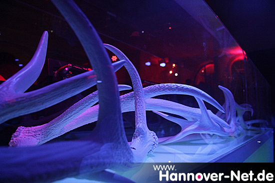 Foto by sceneevents.de